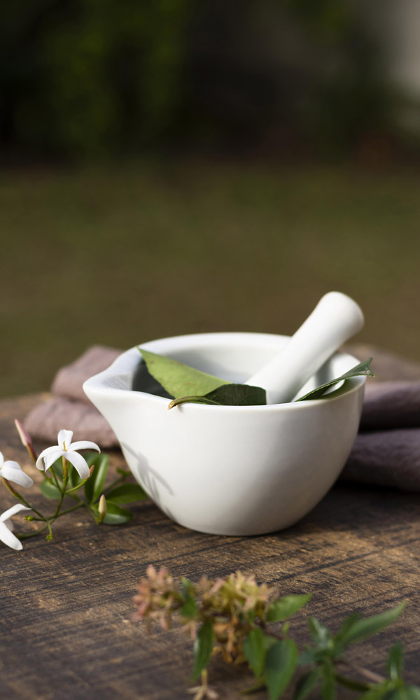 Ayurvedic news and wellness updates